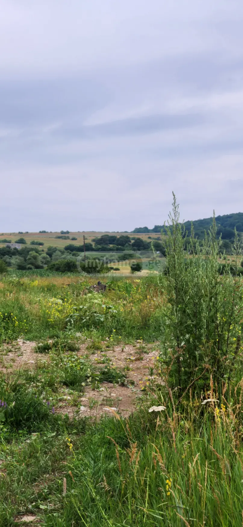 Продажа Agricultural Plot в In Tianeti, In Tianeti Municipality view 7
