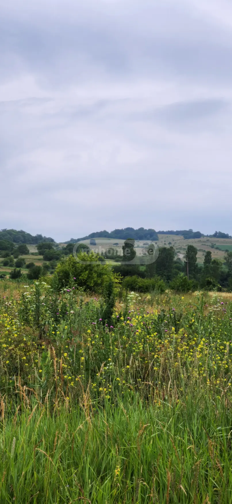 Продажа Agricultural Plot в In Tianeti, In Tianeti Municipality view 10