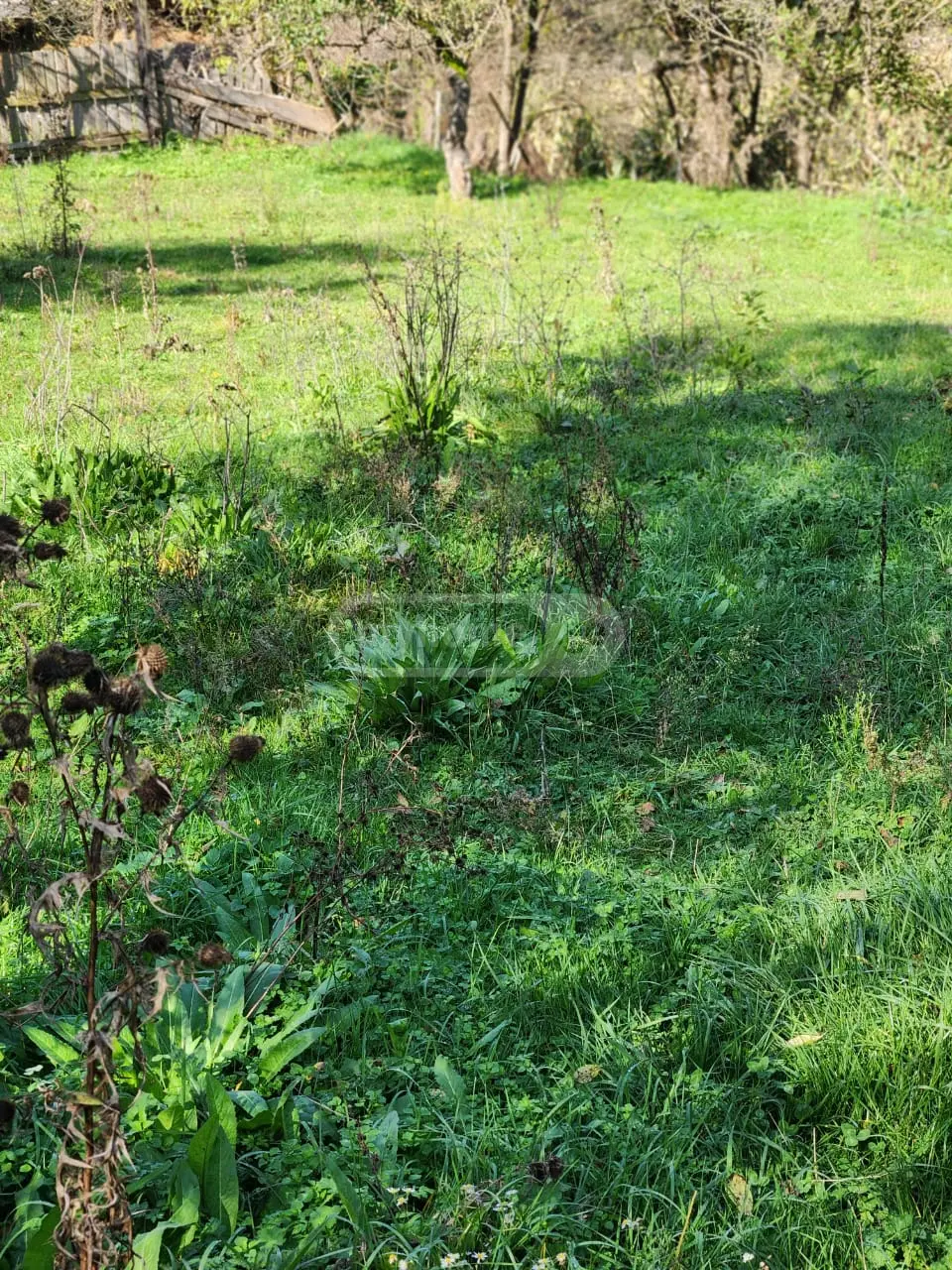 Non-Agricultural Plot For Sale In Borjomi view 3