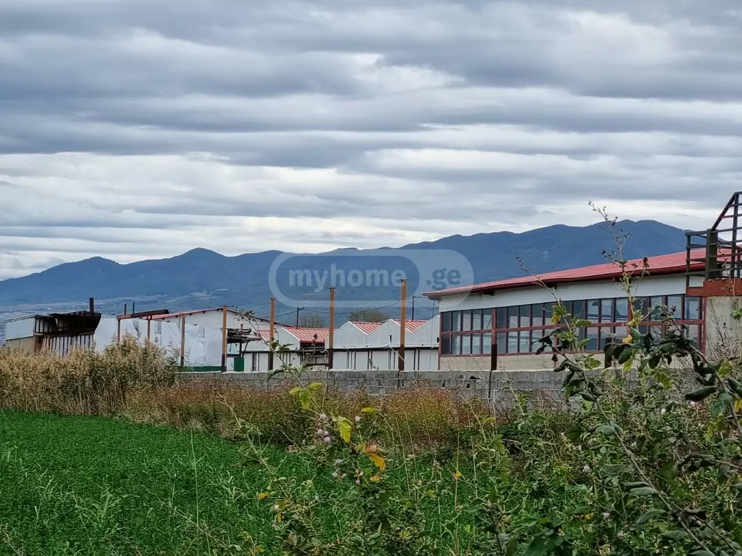 Warehousing Commercial Area For Sale In Natakhtari, In Mtskheta Municipality view 10