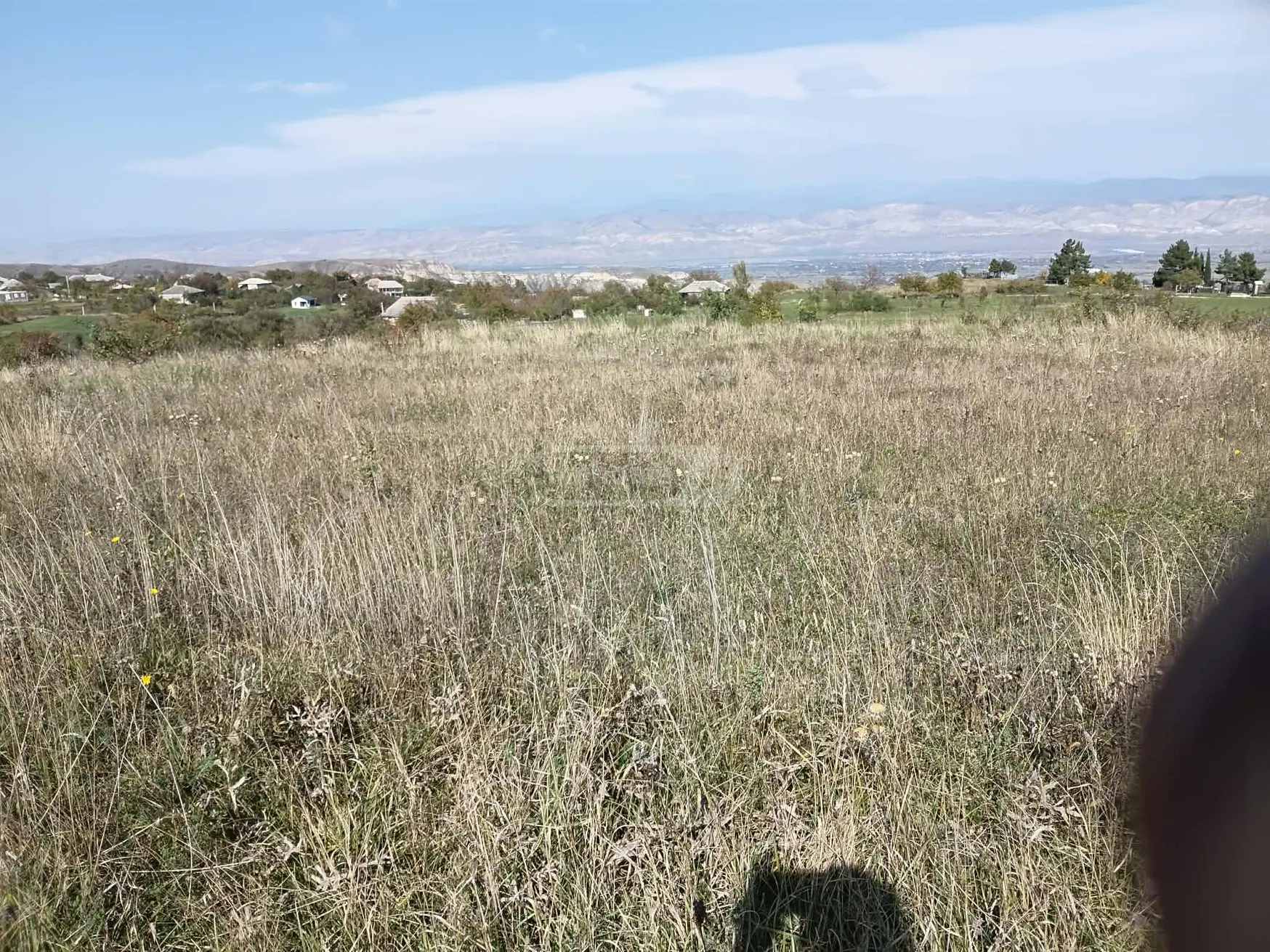 Agricultural Plot For Sale In Ertatsminda, In Kaspi Municipality view 1