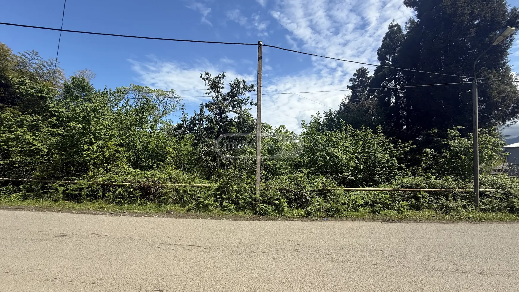 Agricultural Plot For Sale In Makhinjauri, In Batumi view 2