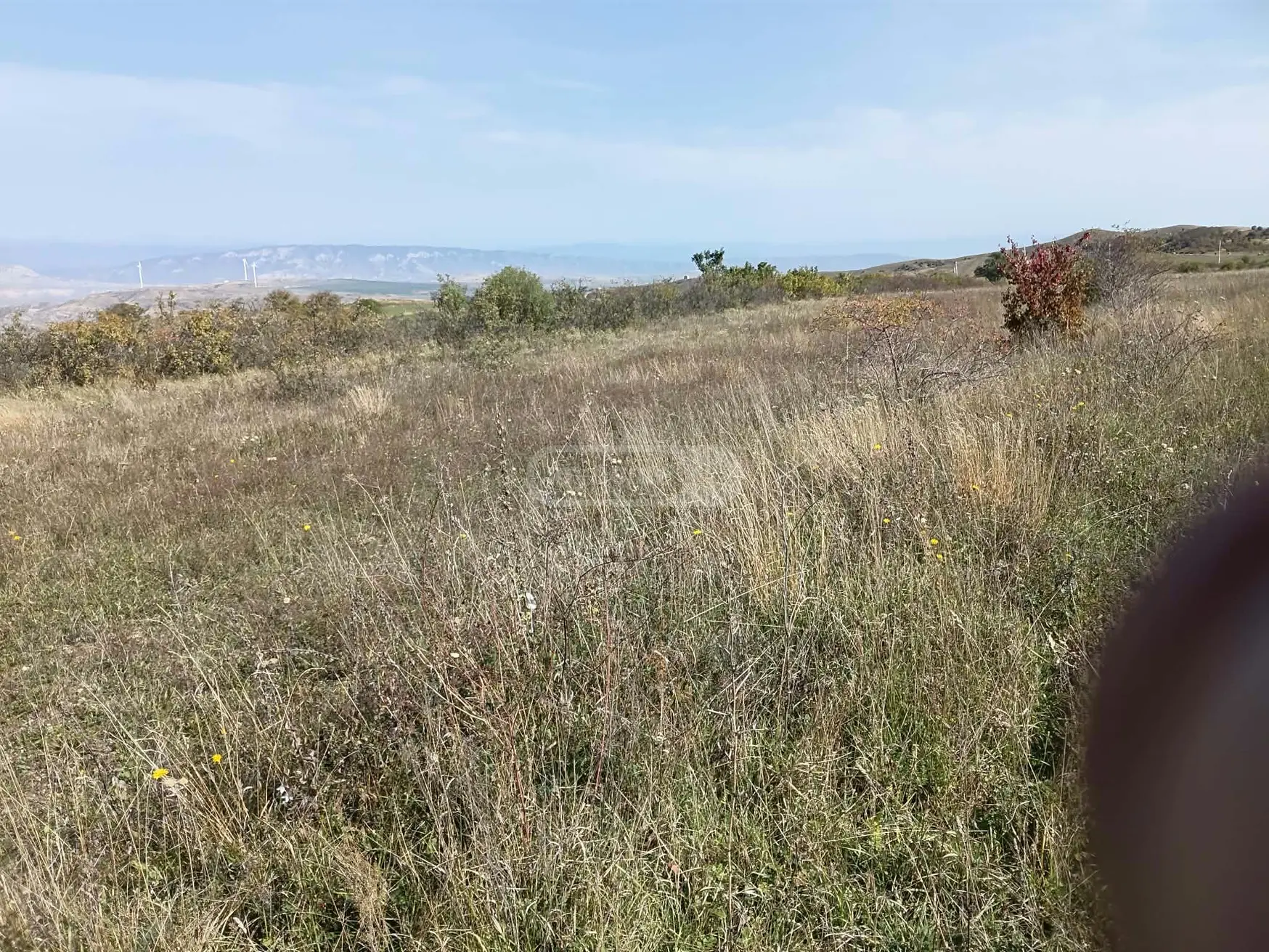 Agricultural Plot For Sale In Ertatsminda, In Kaspi Municipality view 5