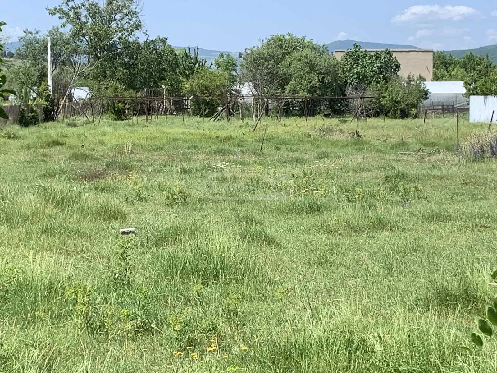 Agricultural Plot For Sale In Mtskheta view 2