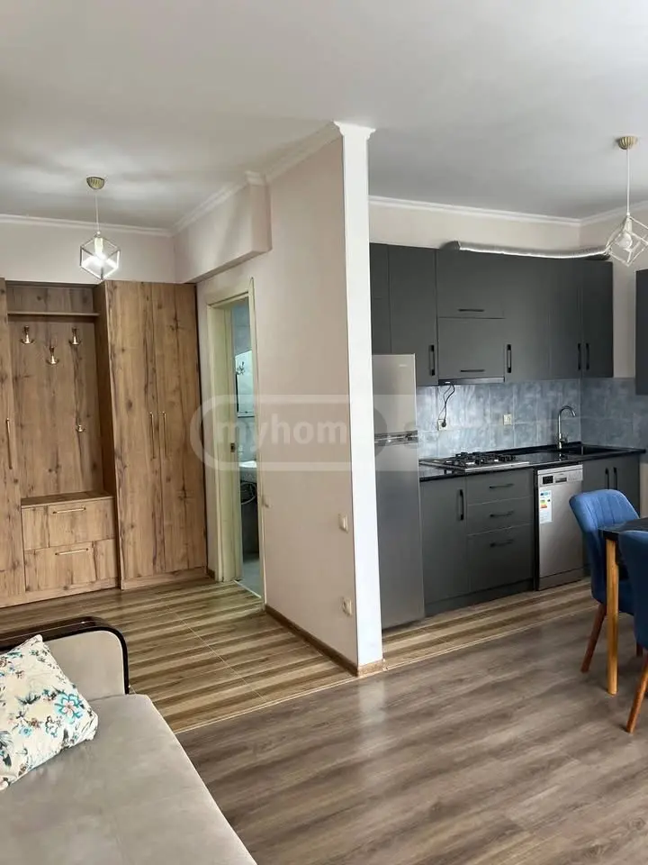 1 Room Apartment For Rent In Foti view 2