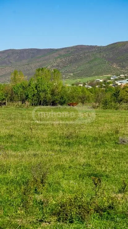 Non-Agricultural Plot Lease In Gori view 1