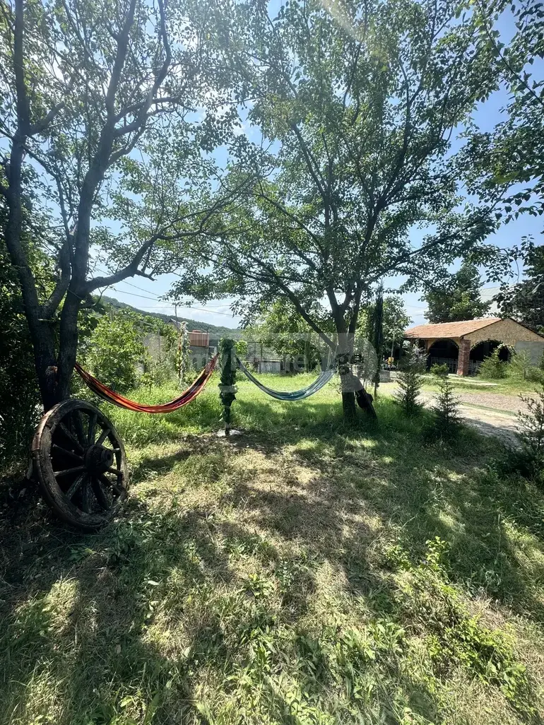 4 Room Country House Daily Rent In Samgori view 2