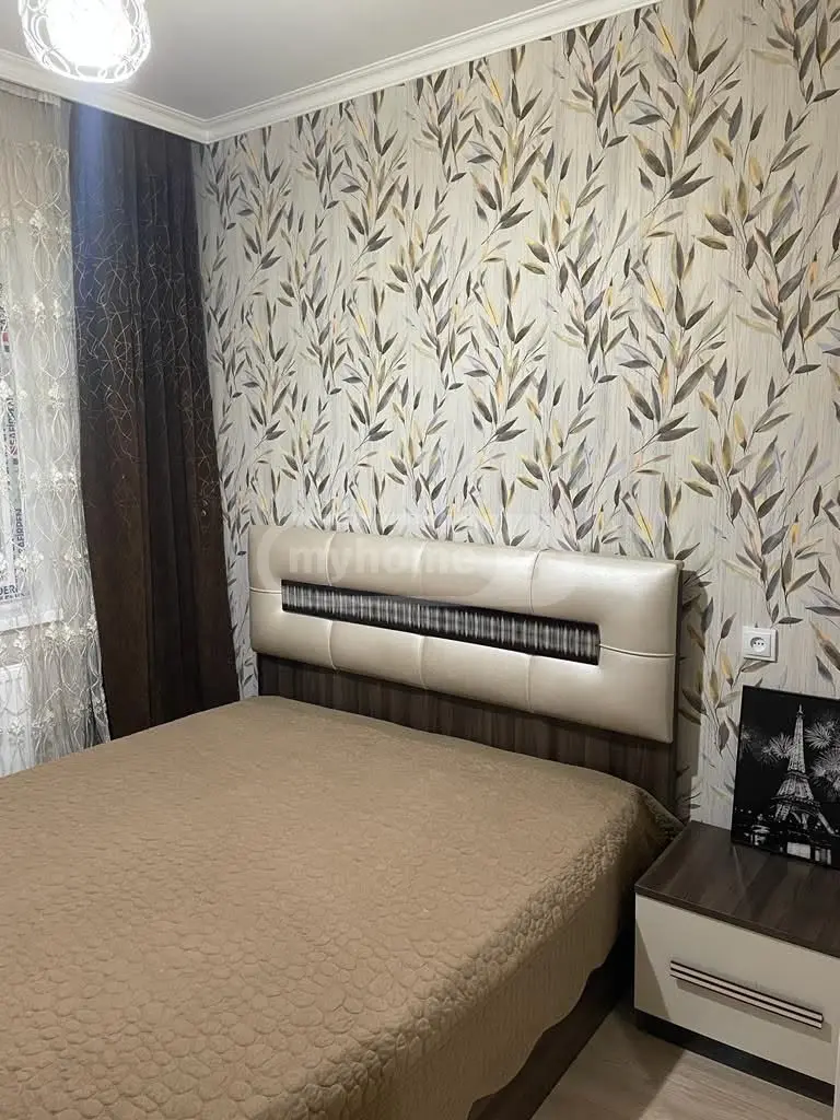 2 Room Apartment Daily Rent In Vazisubani view 6