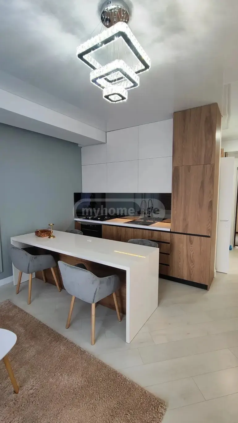 3 Room Apartment For Rent In Samgori view 3