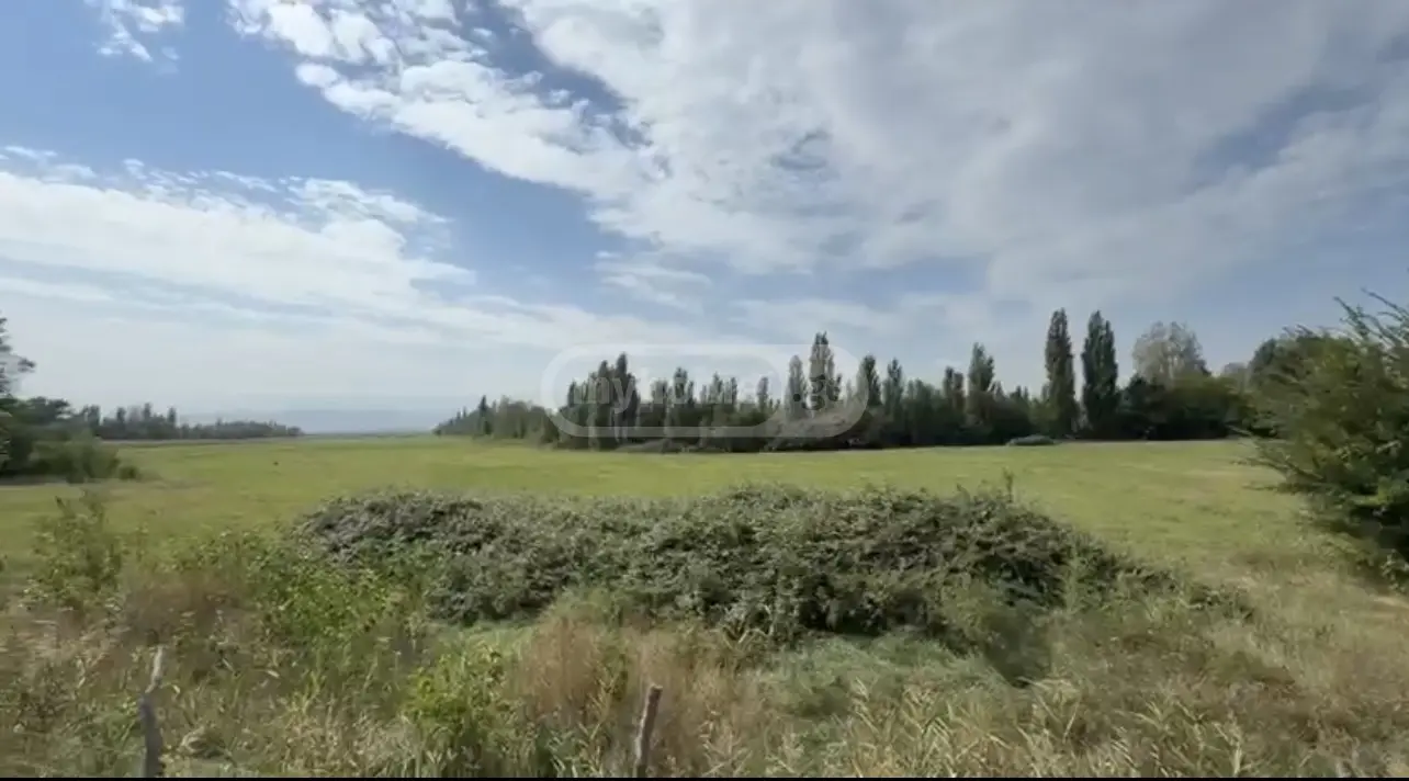 Agricultural Plot For Sale In Vaziani, In Gardabani Municipality view 1