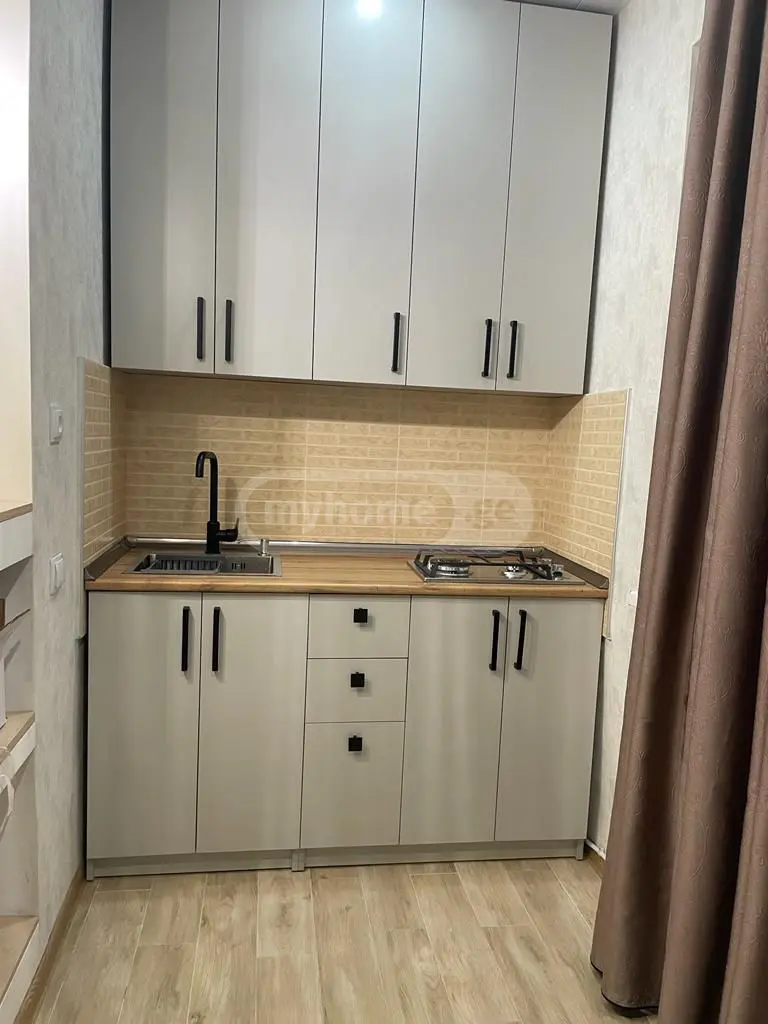2 Room Apartment Daily Rent In Vazisubani view 8