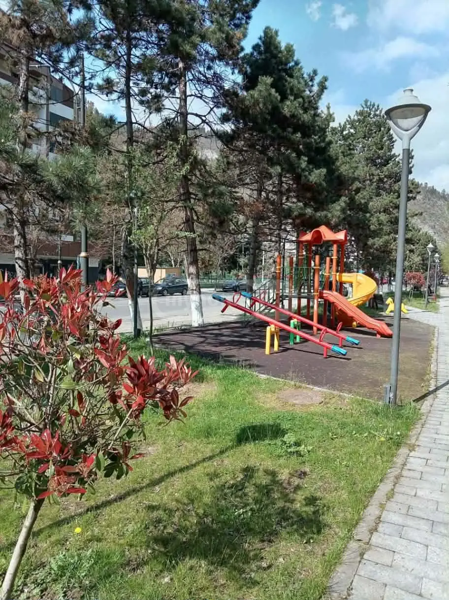 2 Room Apartment Daily Rent In Borjomi view 11