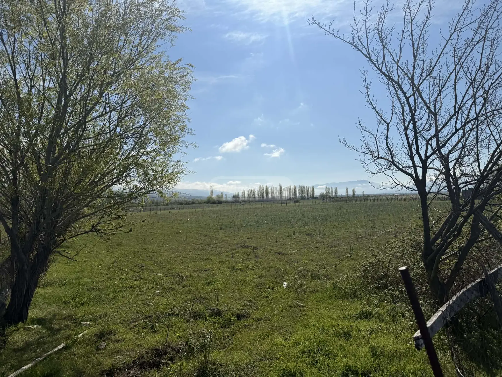 Agricultural Plot For Sale In Mtskheta view 2
