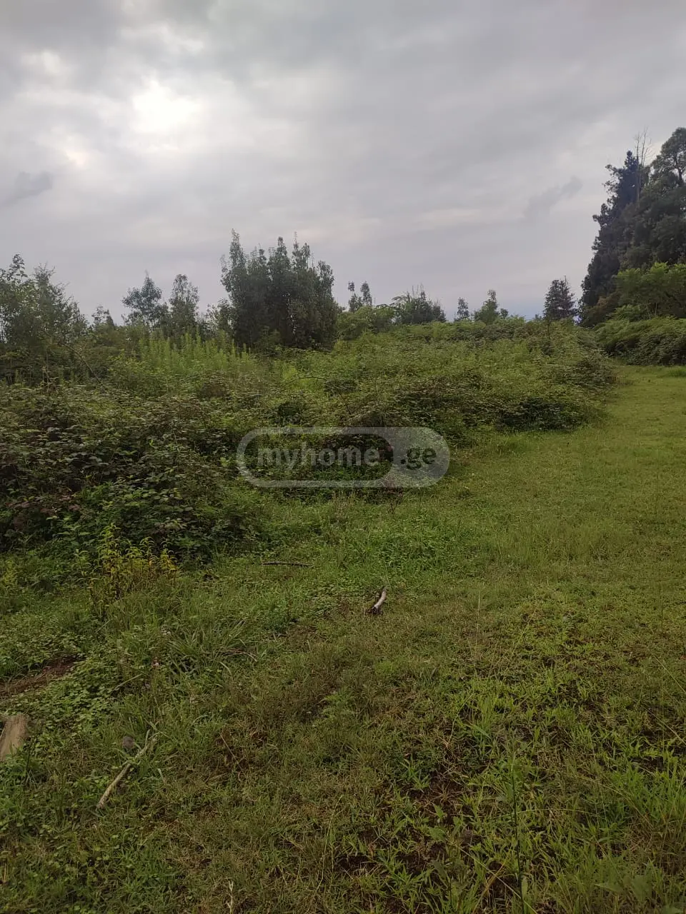 Agricultural Plot For Sale In Ureki, In Ozurgeti Municipality view 3