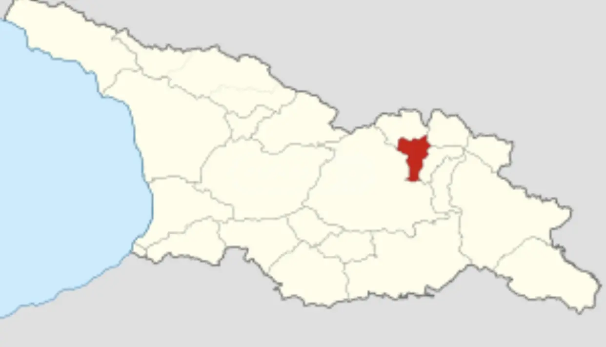 Agricultural Plot For Sale In Gudauri view 4