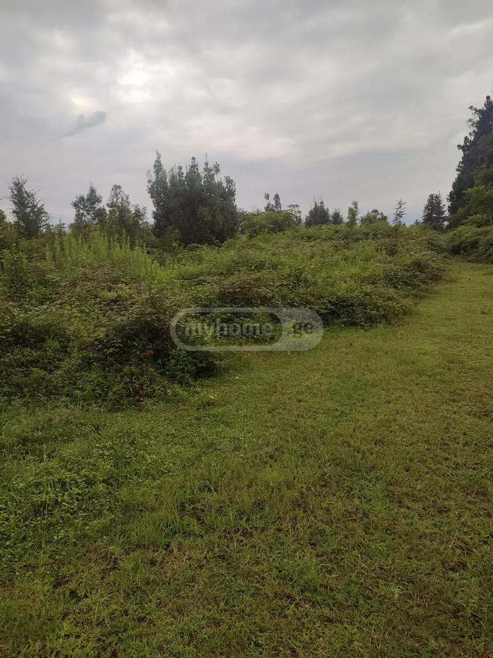 Agricultural Plot For Sale In Ureki, In Ozurgeti Municipality view 2