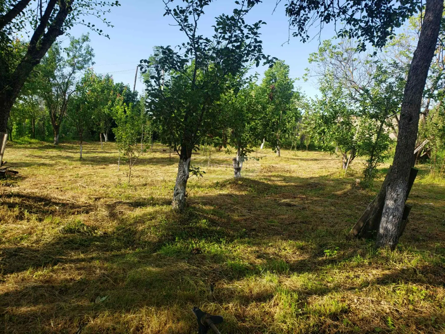9 Room Private House For Sale view 5