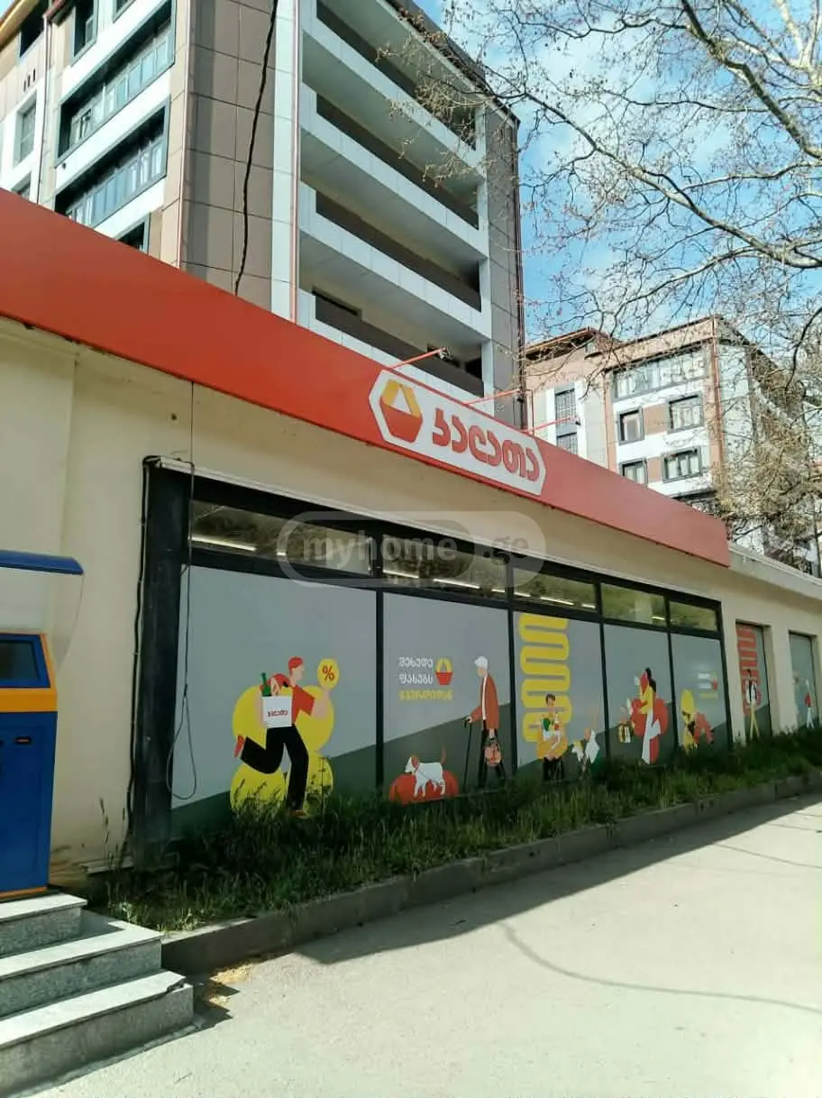 2 Room Apartment Daily Rent In Borjomi view 14