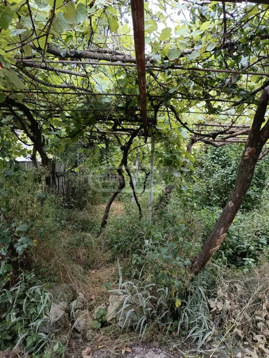 5 Room Private House For Sale view 13