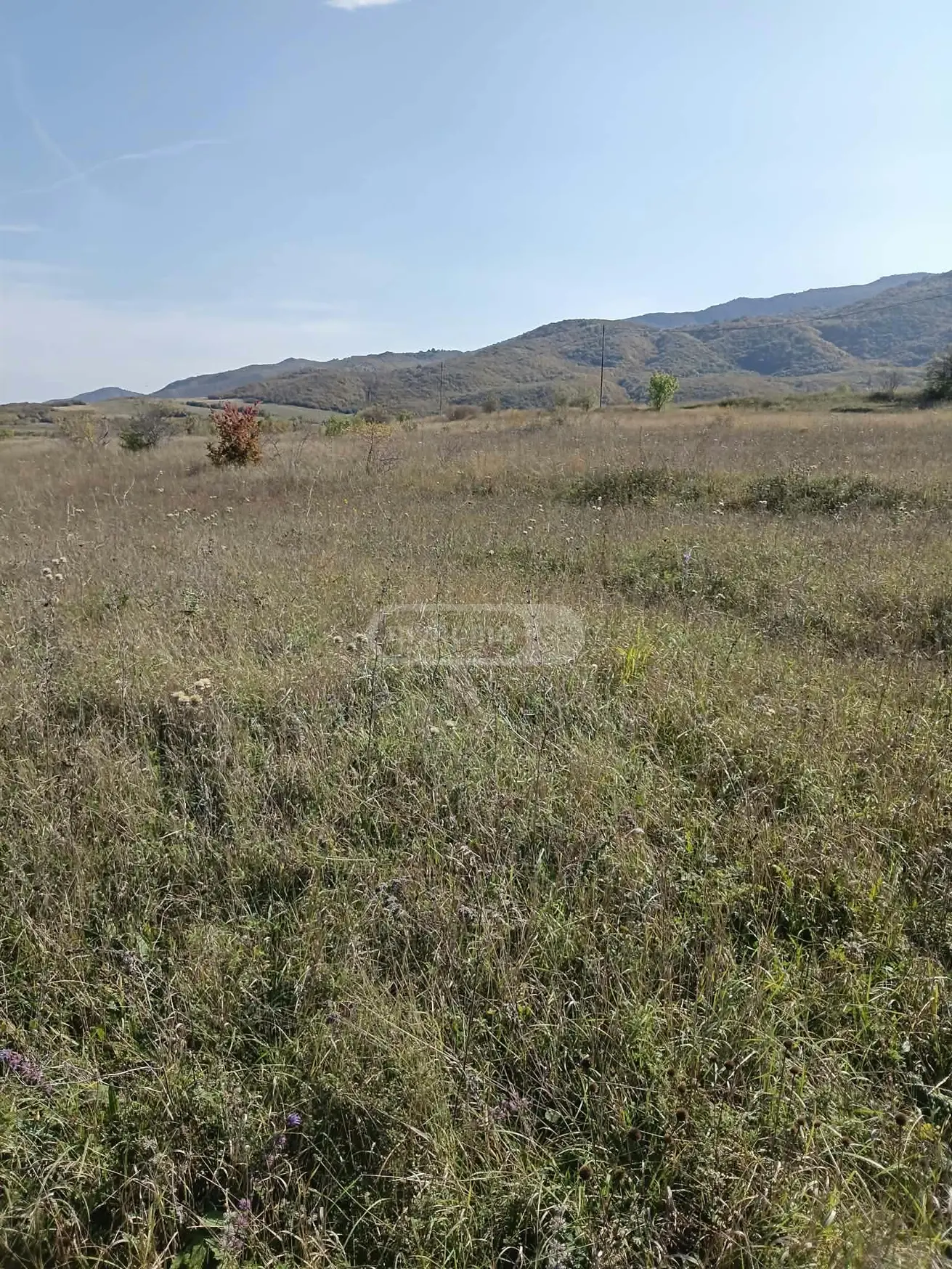 Agricultural Plot For Sale In Ertatsminda, In Kaspi Municipality view 6