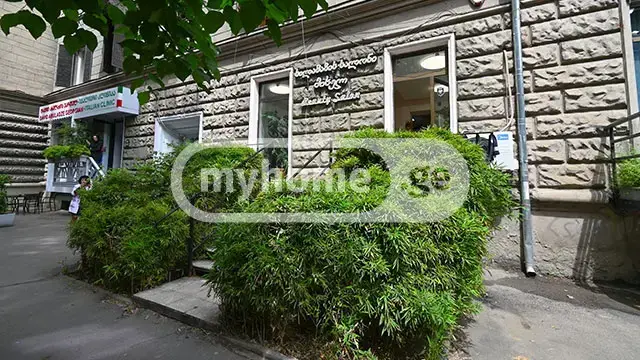 Universal Commercial Area For Sale In Vake view 4