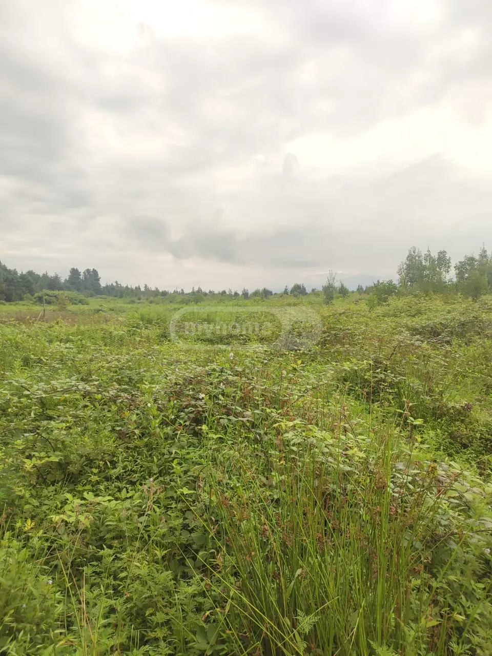 Agricultural Plot For Sale In Ureki, In Ozurgeti Municipality view 1