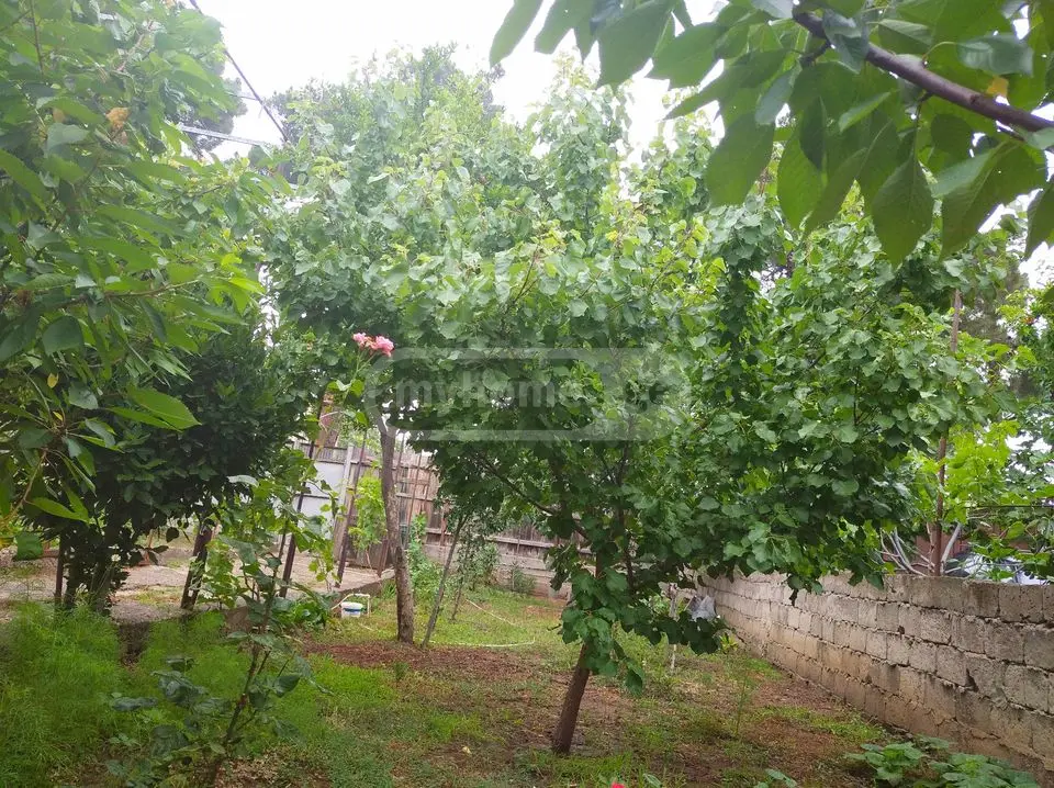 4 Room Private House For Sale view 4