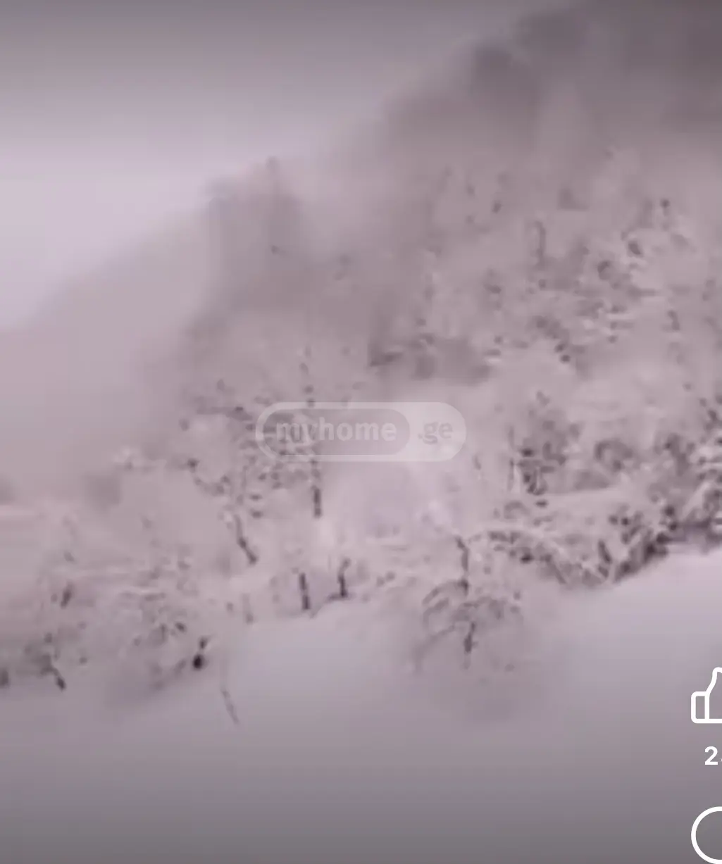 Agricultural Plot For Sale In Gudauri view 6