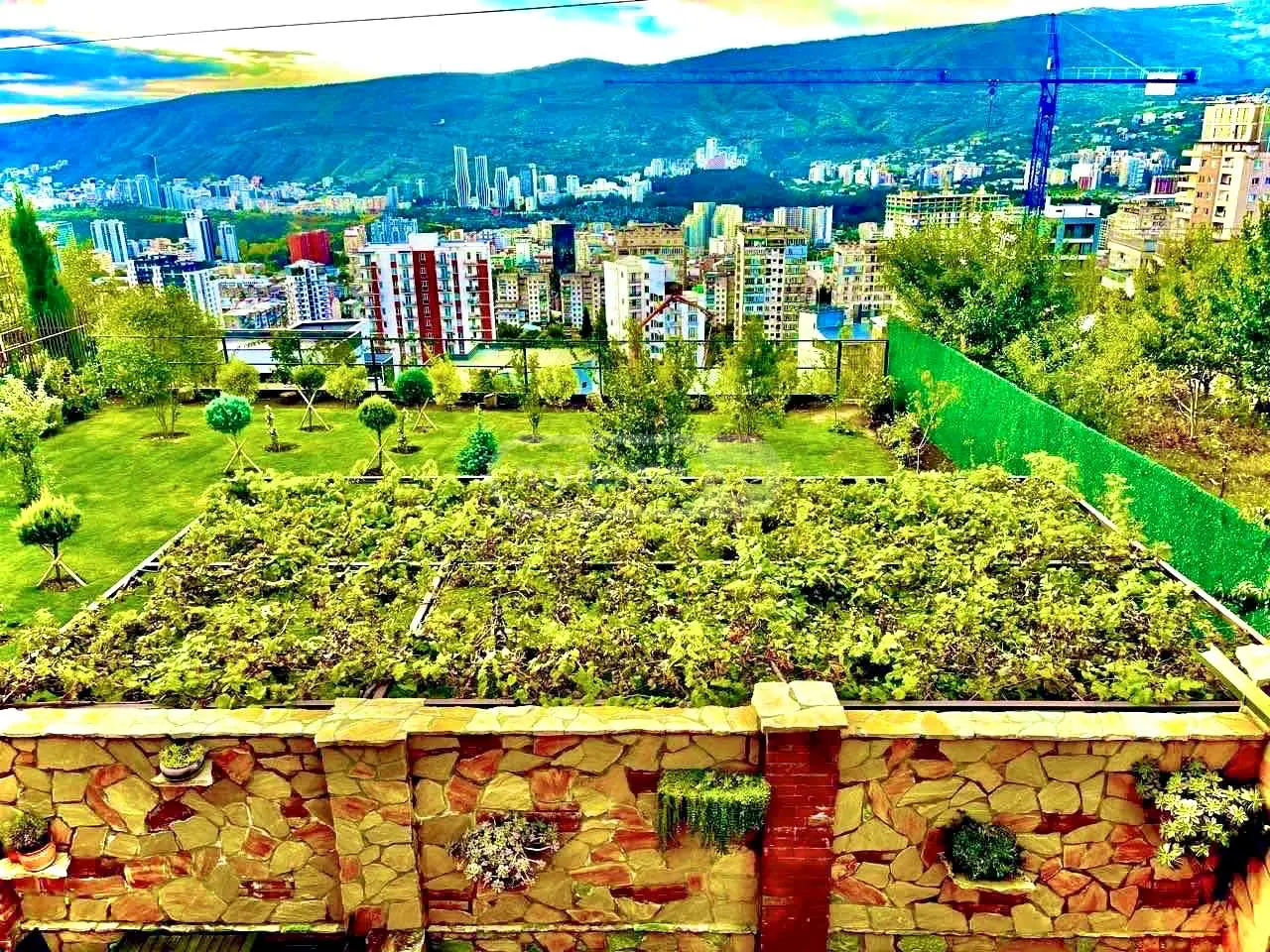 10+ Room Private House For Sale In Lisi Lake view 2