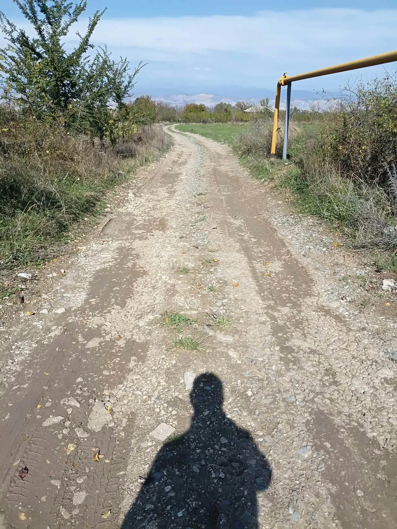 Agricultural Plot For Sale In Ertatsminda, In Kaspi Municipality view 2