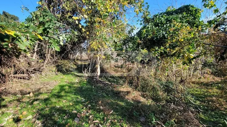 იყიდება Agricultural Plot In Tsikhisdziri, In Kobuleti Municipalityში view 5