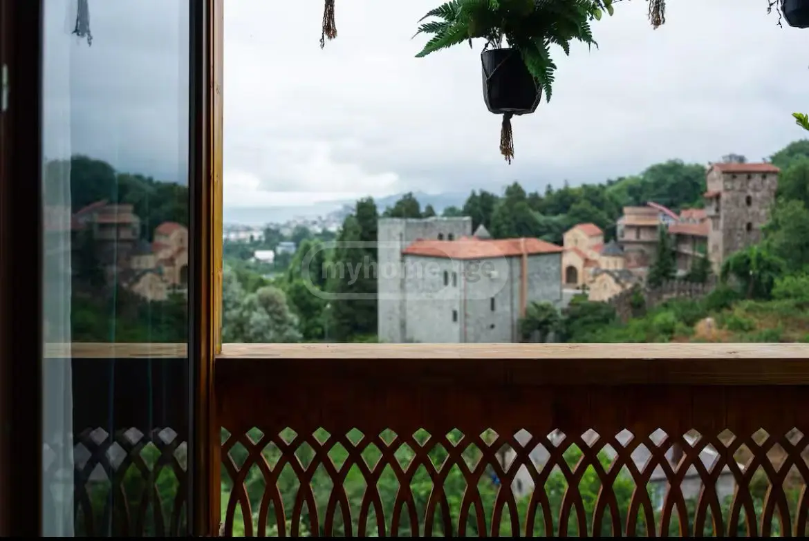 1 Room Private House Daily Rent In Boni-Gorodok District, In Batumi view 4