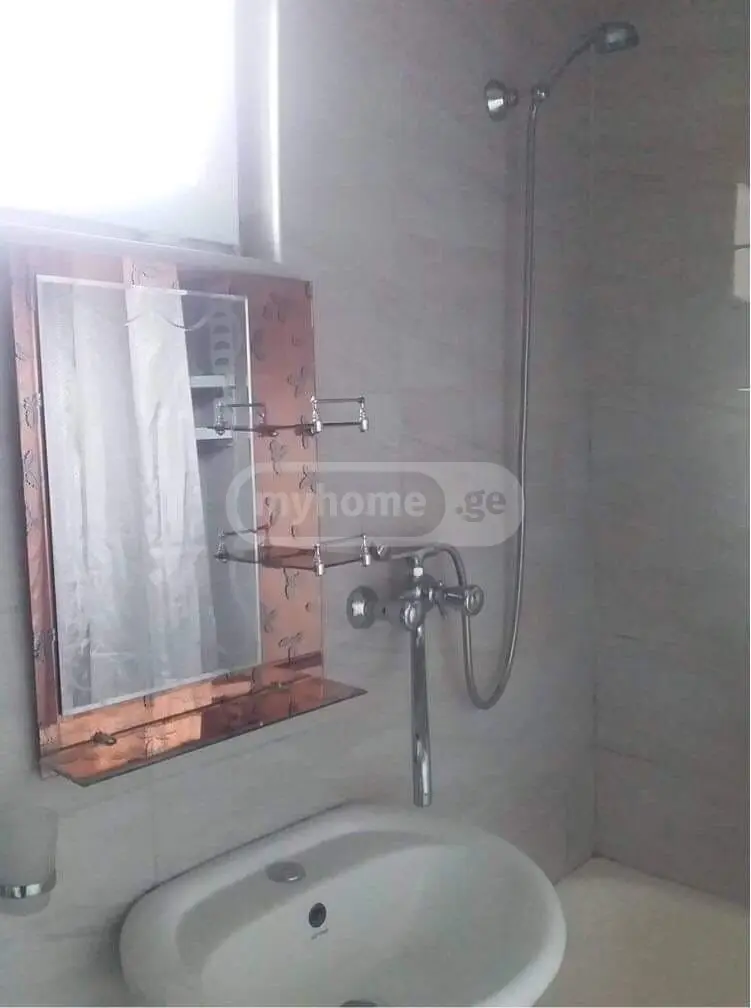 2 Room Apartment Daily Rent In Borjomi view 11