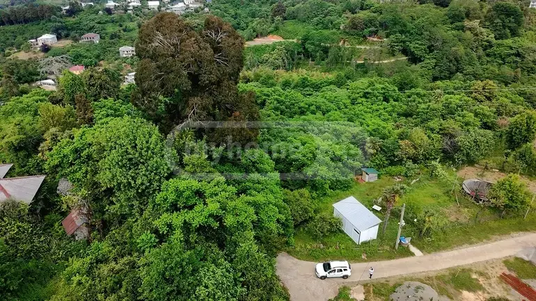 იყიდება Agricultural Plot In Tsikhisdziri, In Kobuleti Municipalityში view 1