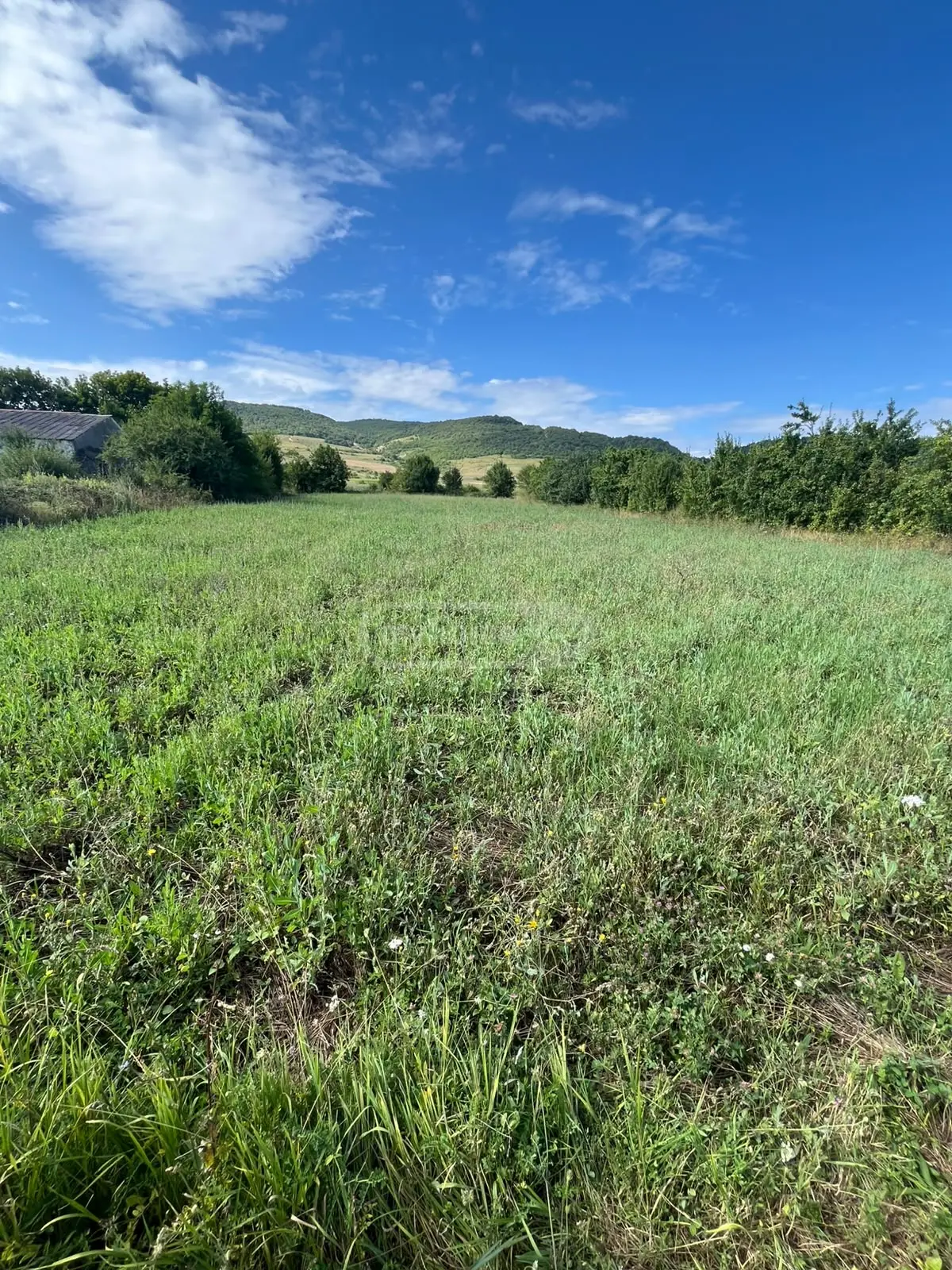 იყიდება Non-Agricultural Plot In Tianeti, In Tianeti Municipalityში view 7