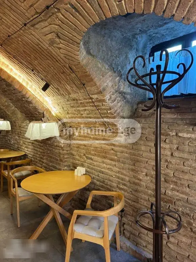 Universal Commercial Area For Rent In Sololaki view 6