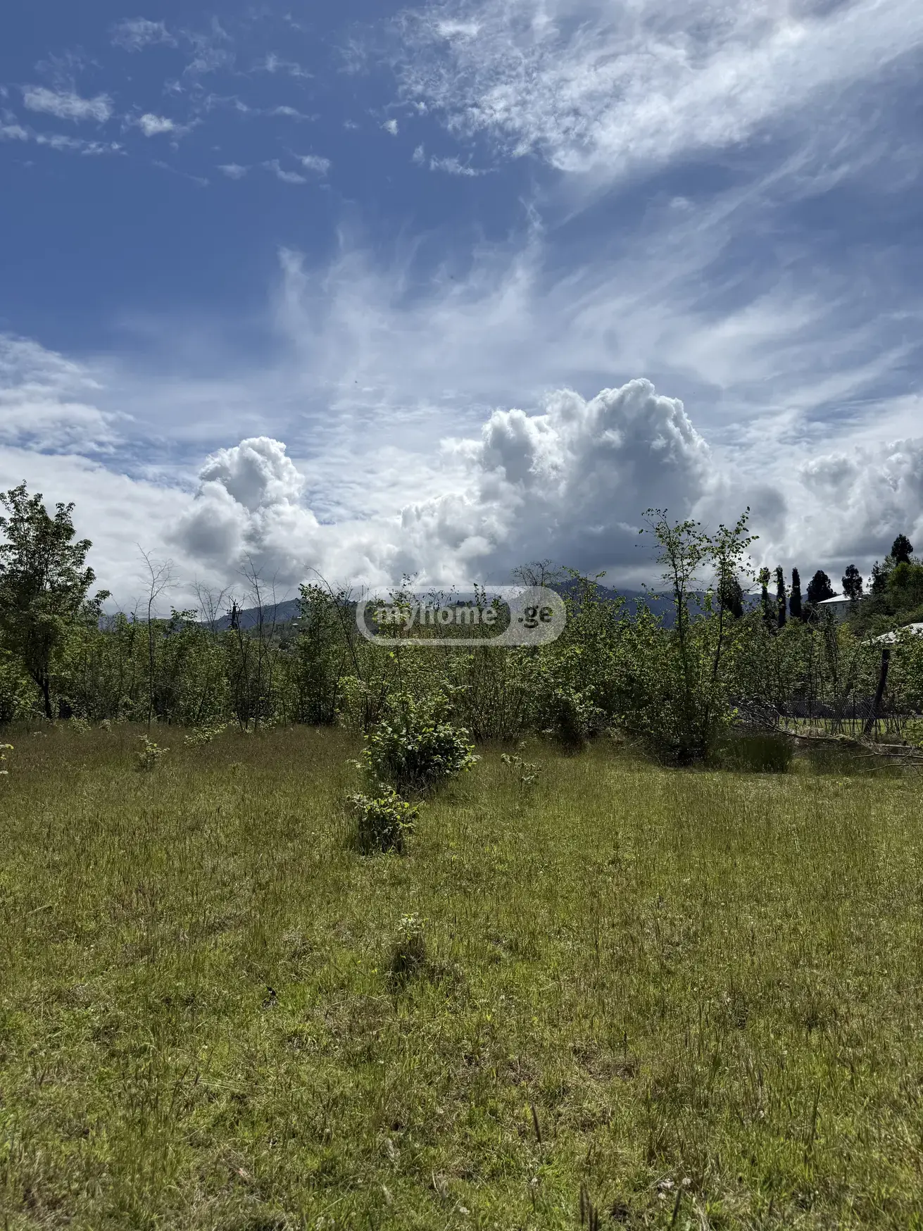 Agricultural Plot For Sale In Makhinjauri, In Batumi view 1