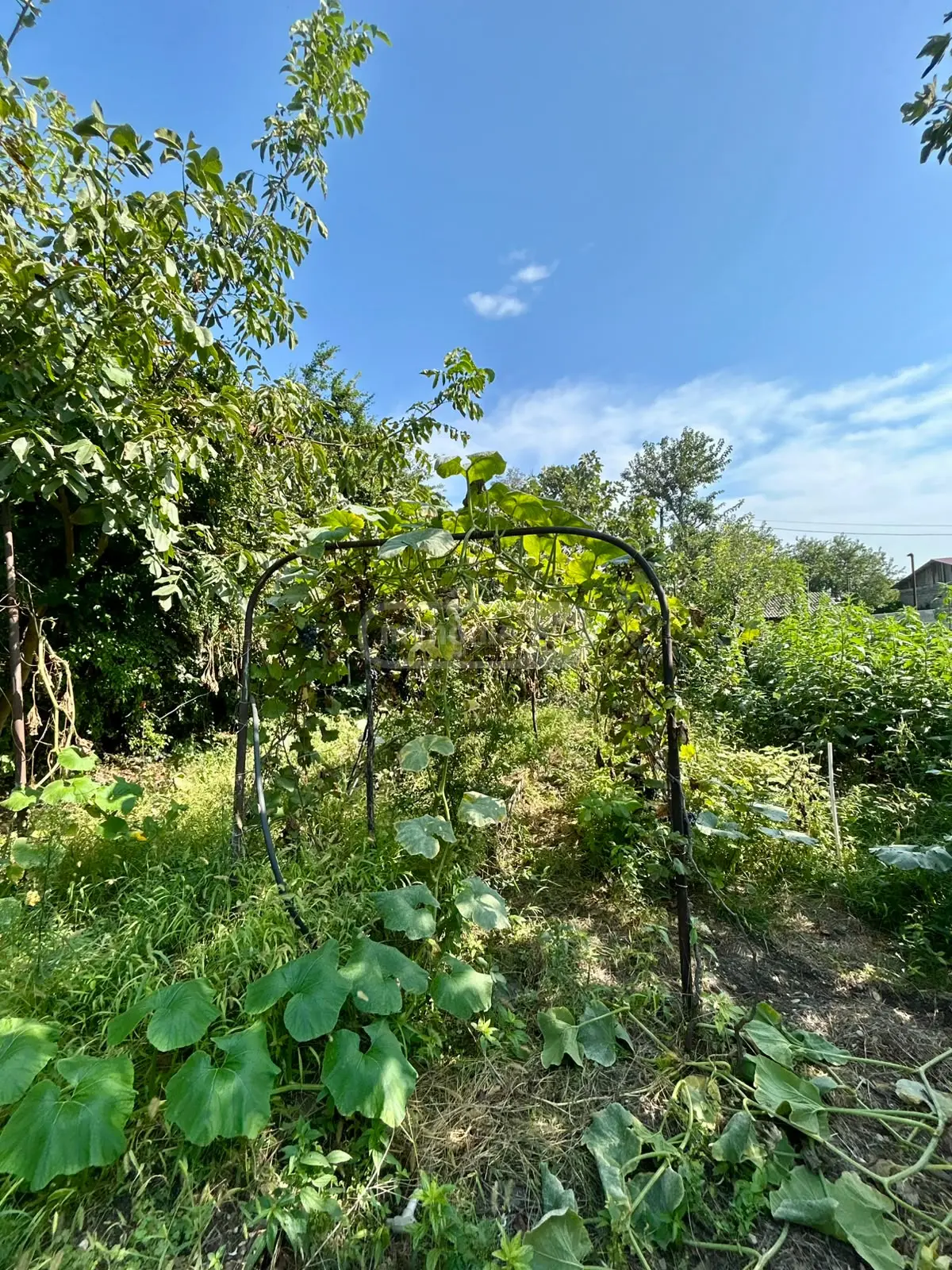 Non-Agricultural Plot For Sale In Gamarjveba, In Gardabani Municipality view 6