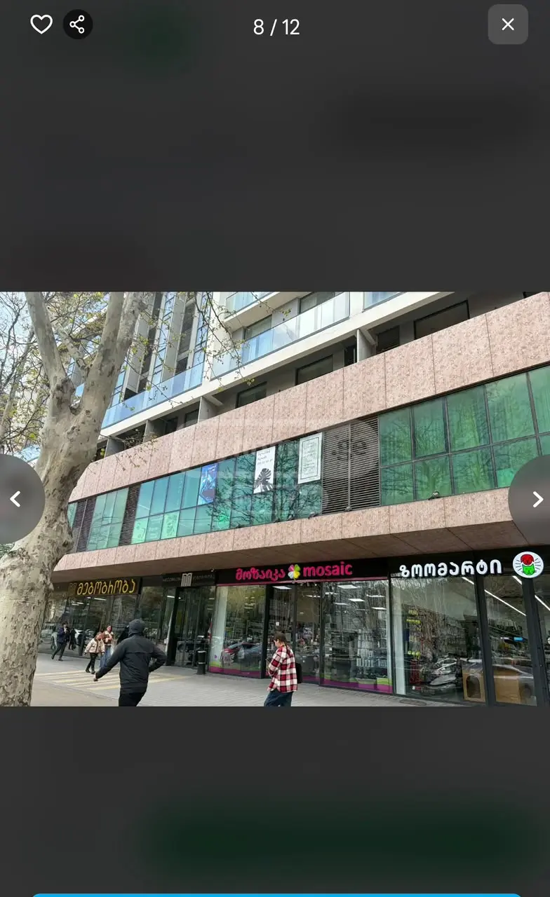 Universal Commercial Area For Rent In Nadzaladevi view 1