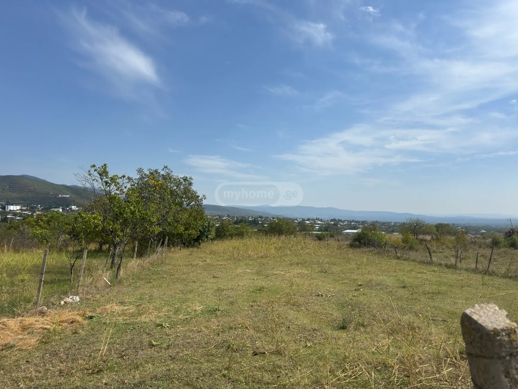Agricultural Plot For Sale In Sagarejo view 1