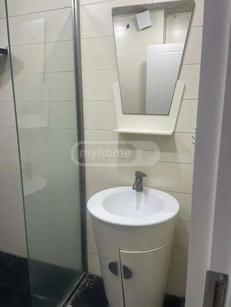 3 Room Apartment For Rent In Nadzaladevi view 2