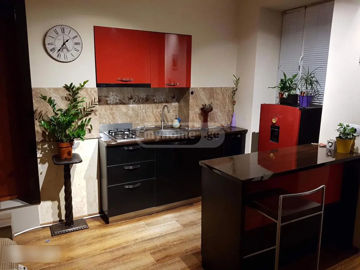 1 Room Apartment For Rent In Sololaki view 2