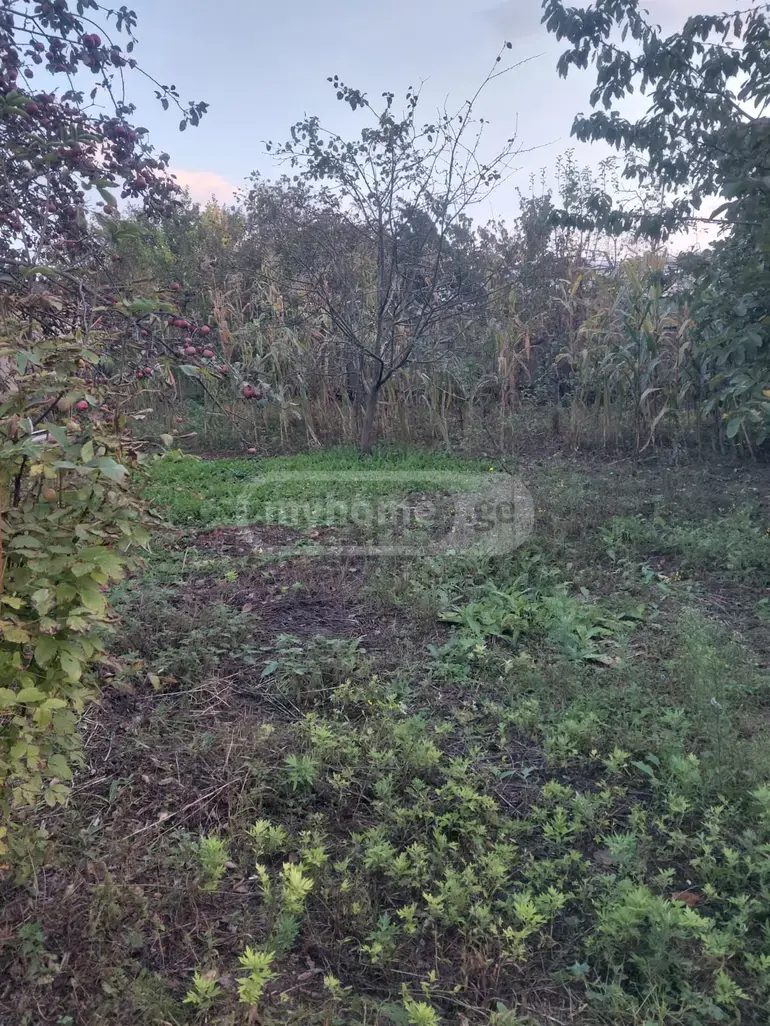 Agricultural Plot For Sale In Saguramo, In Mtskheta Municipality view 2