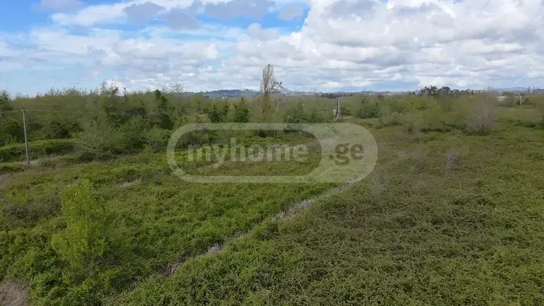 Agricultural Plot For Sale In Natanebi, In Ozurgeti Municipality view 1