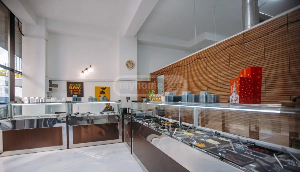 Trade Commercial Area For Rent In Isani view 1