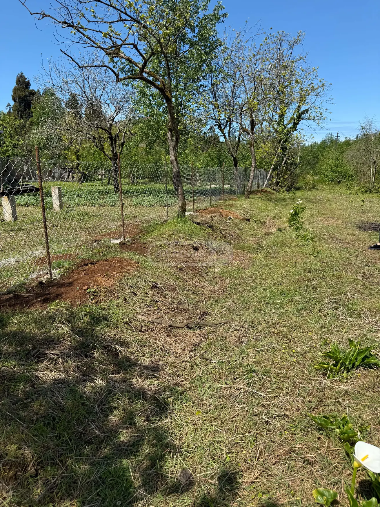 იყიდება Agricultural Plot In Tsinsvla, In Khelvachauri Municipalityში view 2