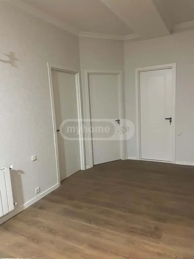 3 Room Apartment For Rent In Nadzaladevi view 4