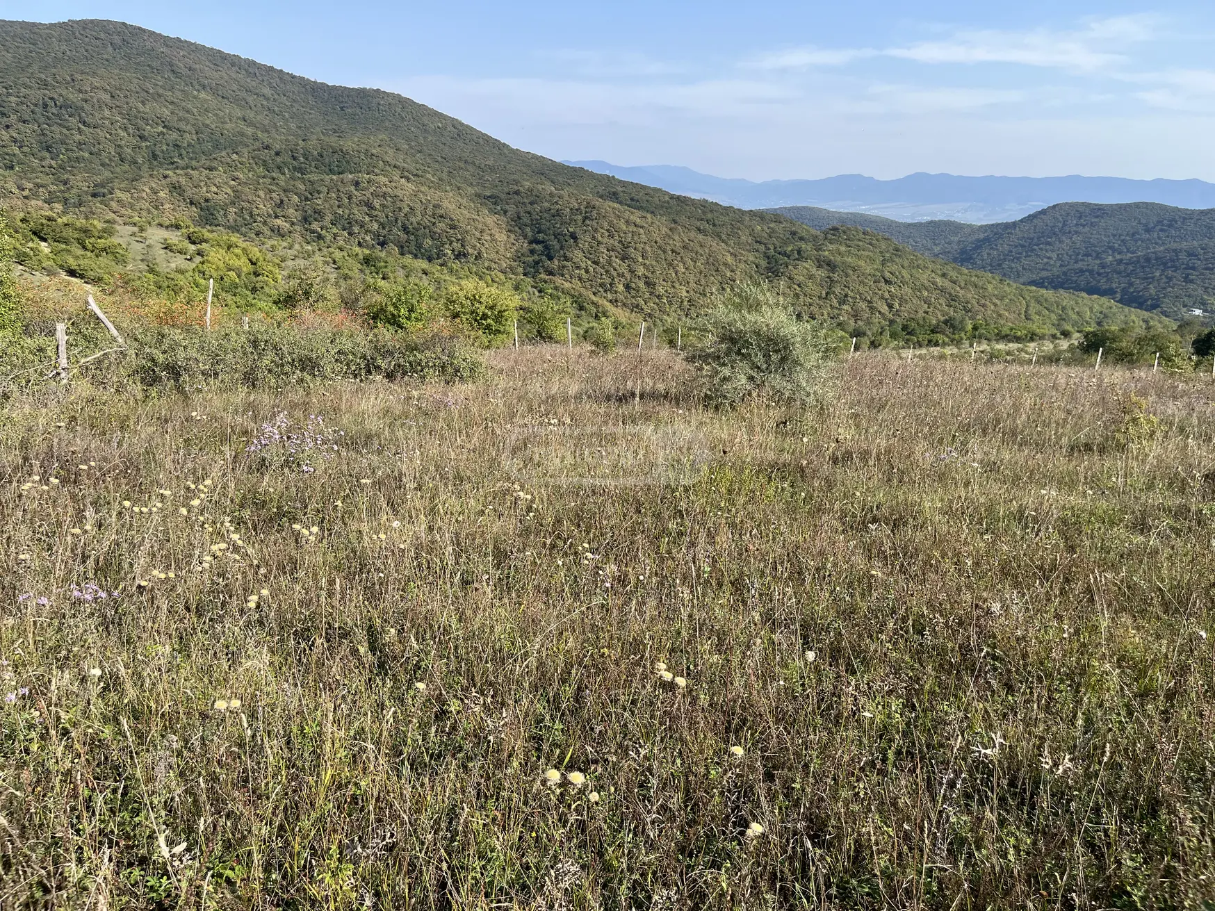 იყიდება Agricultural Plot In Mtskhetaში view 3