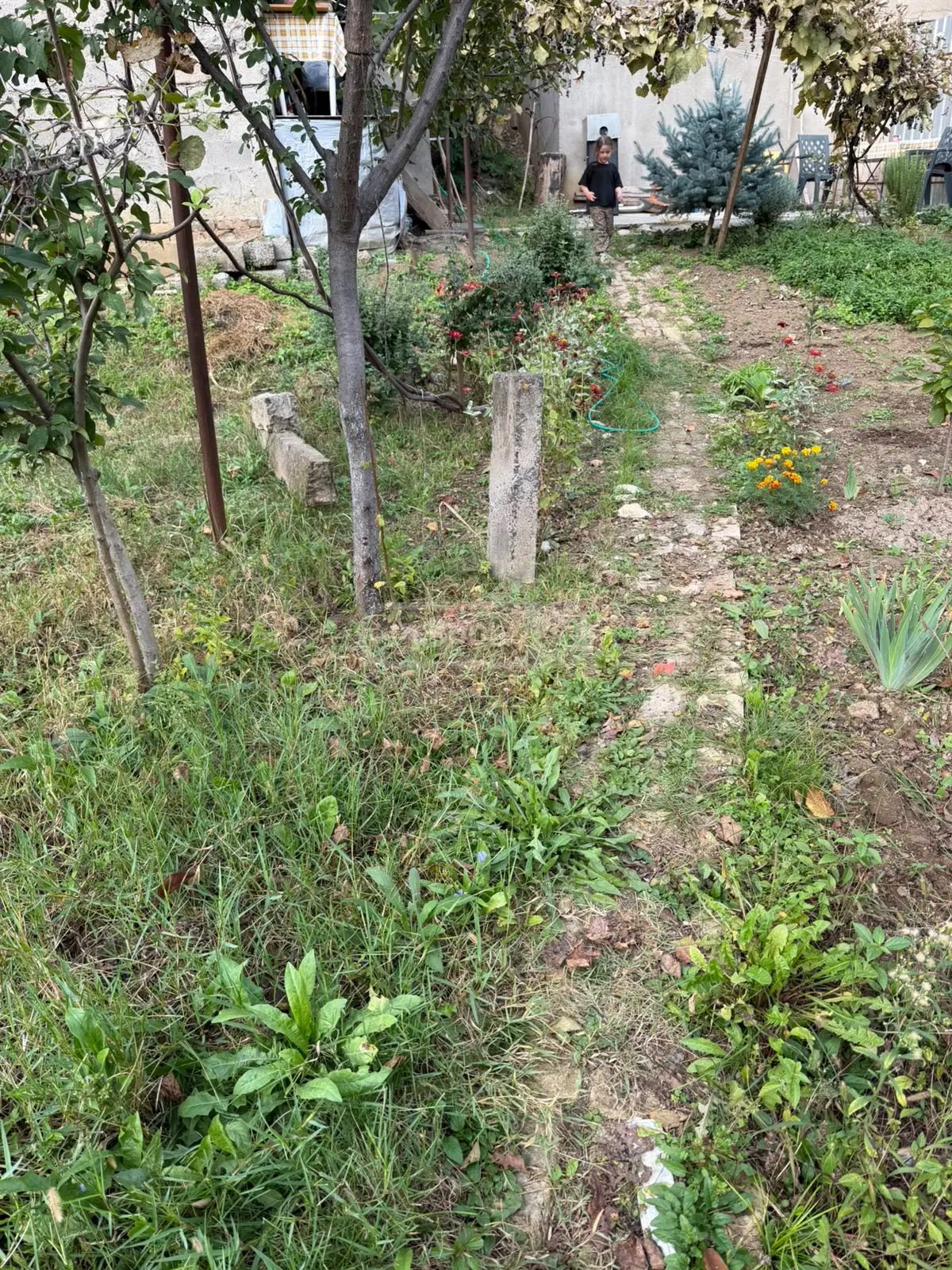 Non-Agricultural Plot For Sale In Krtsanisi view 4