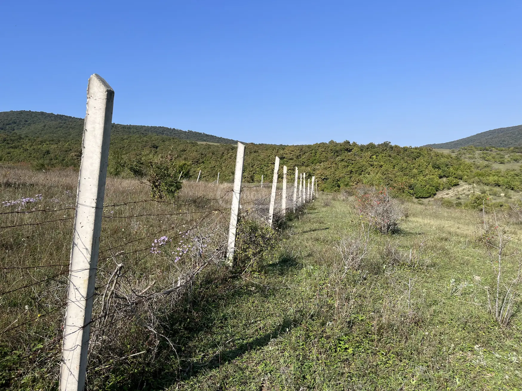იყიდება Agricultural Plot In Mtskhetaში view 2